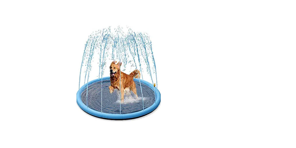 A Buying Guide for a Doggie Splash Pad